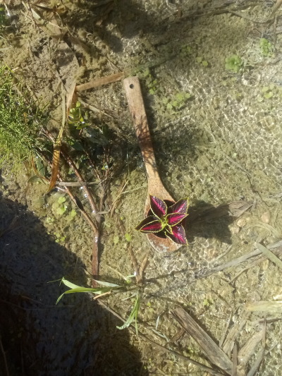 tumblr_6fe31a31dcf7630bf2c8993db7bcd1db_e4655bf2_400