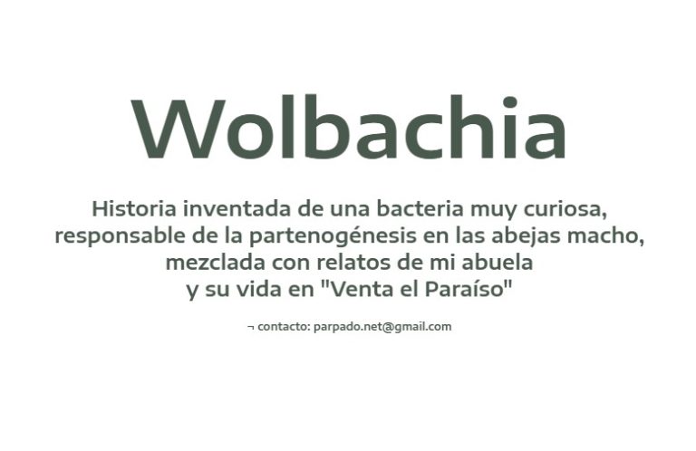 Captura de pantalla 2025-07-29 041953