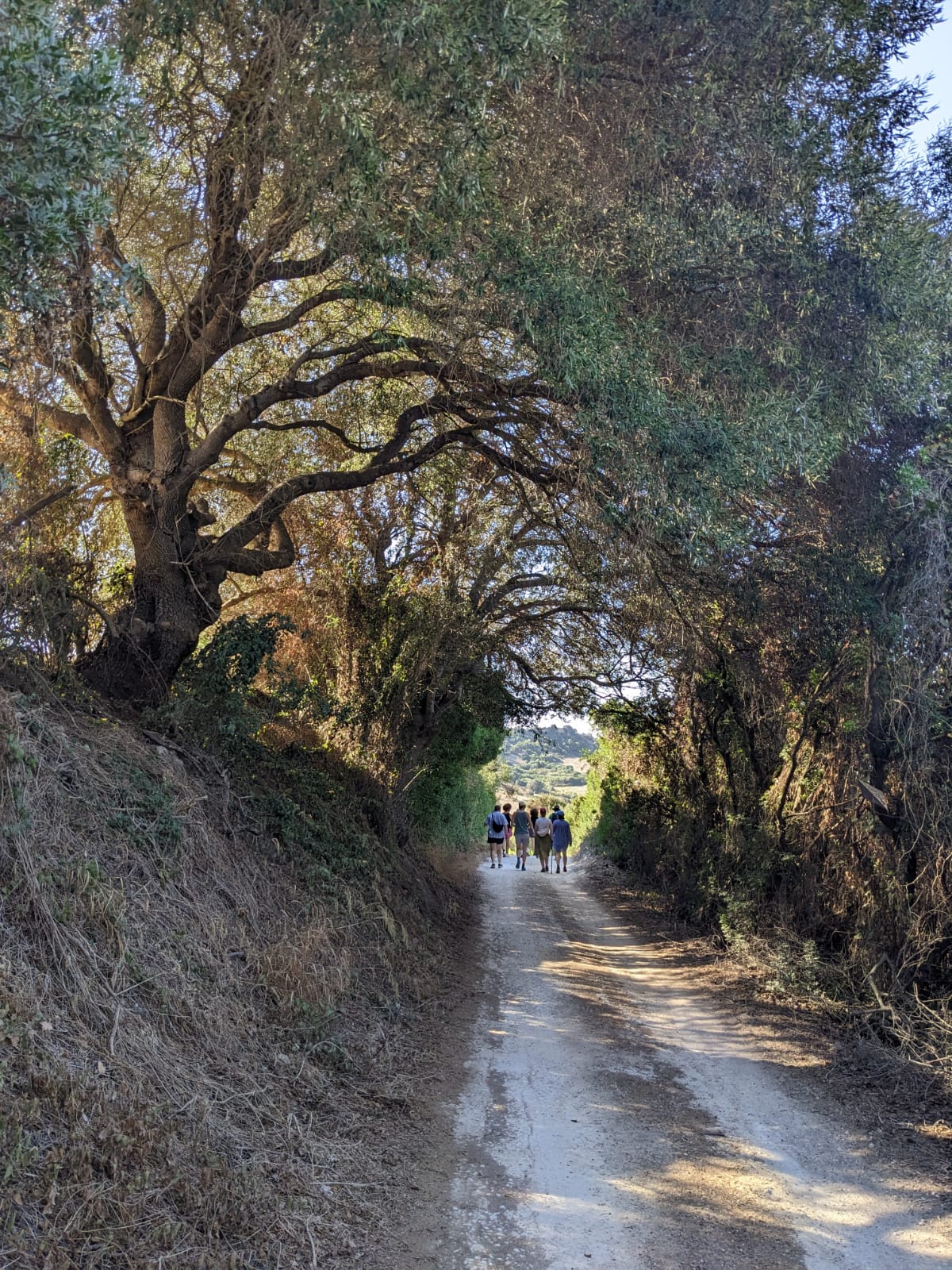 Imagen de WhatsApp 2025-09-30 a las 20.30.28_ed45fdf6