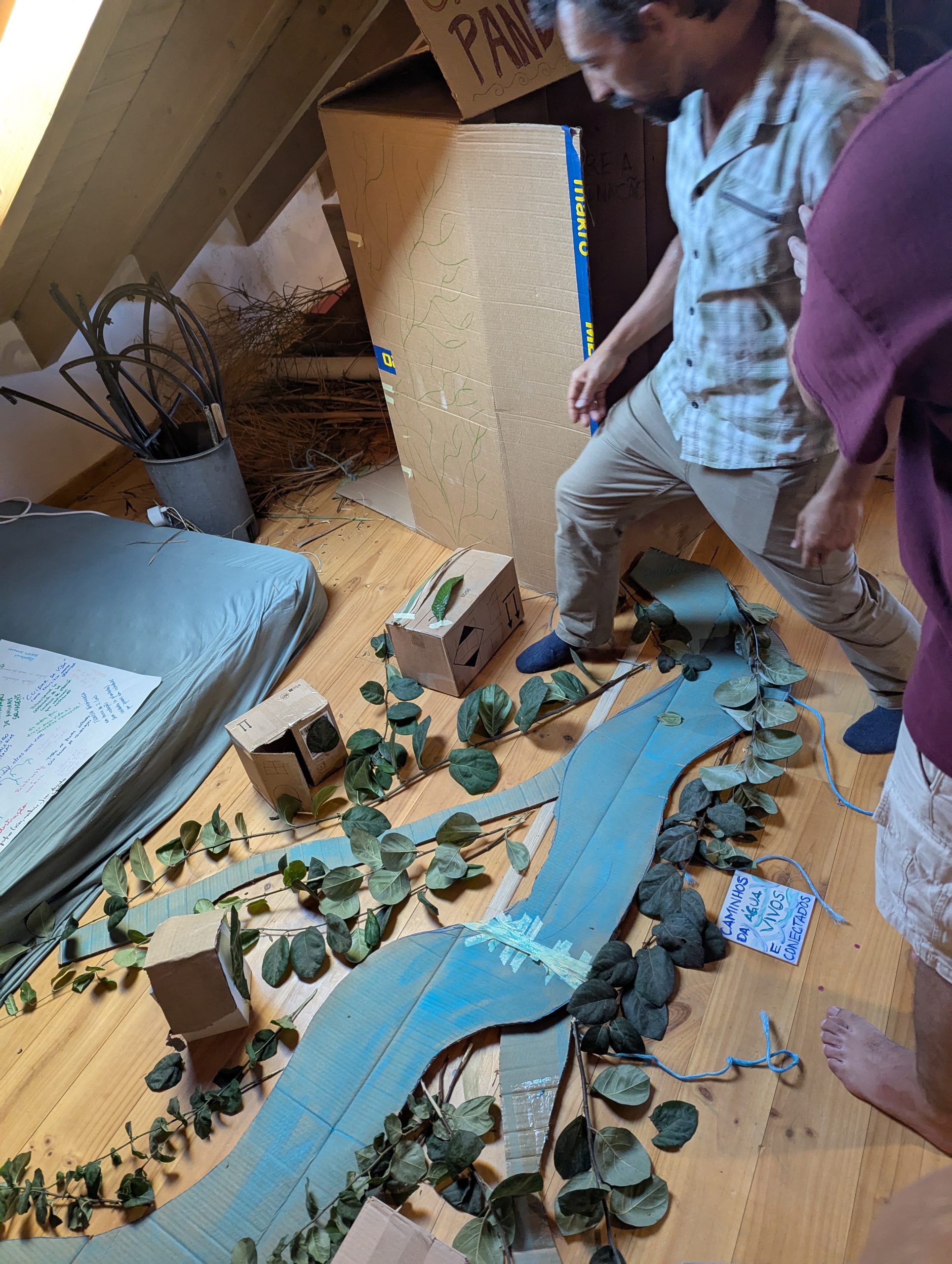 PXL_20250925_145652043.MP