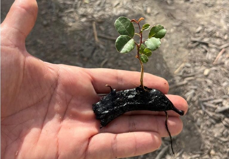 What did you do_ Slow Spread Sink_page-0001